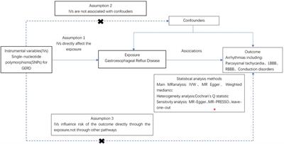 Gastroesophageal reflux disease and risk for arrhythmias: a Mendelian randomization analysis